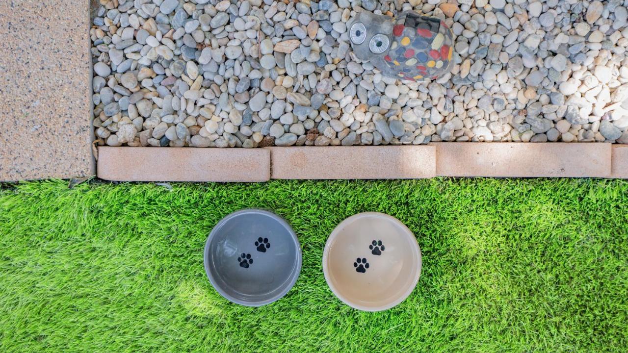 New Delux Green Garden Apartment With Hotube **** Split Eksteriør billede